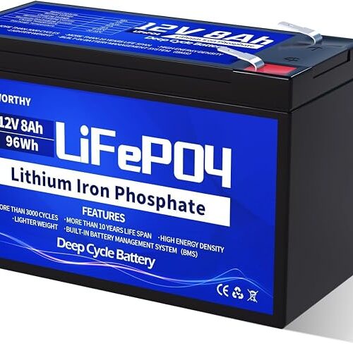 ECO-WORTHY LiFePO4 akumulator litowy 12 V, 8 Ah, z ochroną BMS i do 15000 głębokich cykli na kemping, do instalacji solarnych, kamperów, lokalizatorów ryb, wózków dziecięcych, łodzi, paneli
